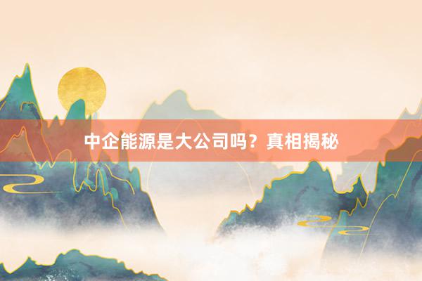 中企能源是大公司吗？真相揭秘